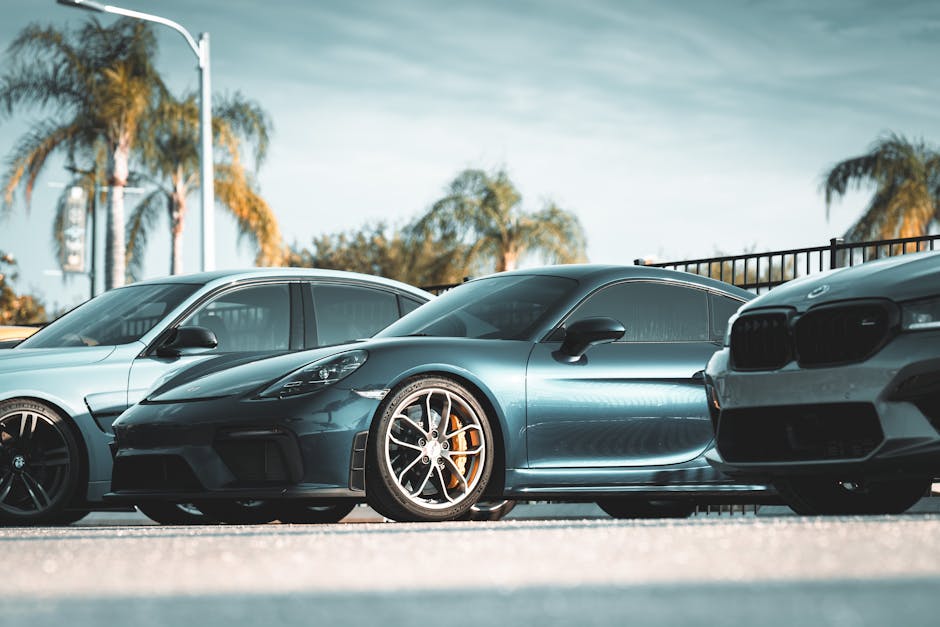 A lineup of luxury sports cars parked outdoors in Wesley Chapel, Florida on a sunny day