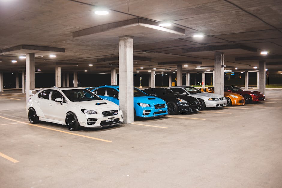 Bright new expensive automobiles placed on parking lot